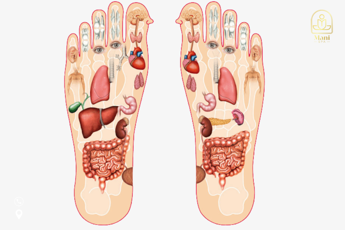 Bấm Huyệt Lòng Bàn Chân Chuyên Sâu TP.HCM - Mani Mani Spa 