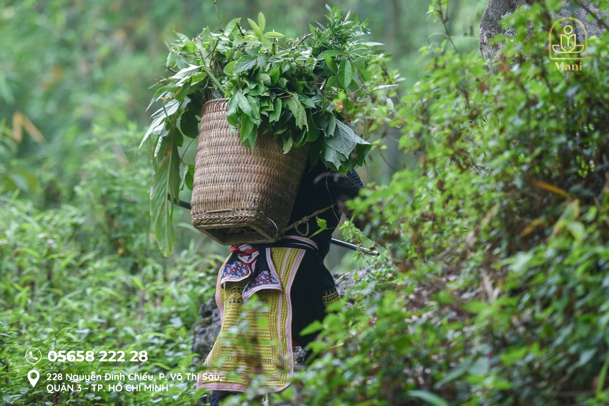 Tắm lá dao đỏ quận 3 TP.HCM - Mani Mani Spa 